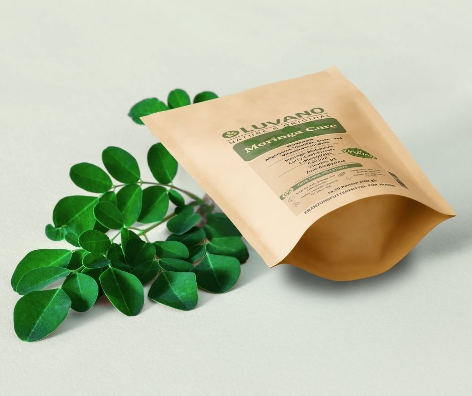 GesunderHund EyePro Vision – Bild 2